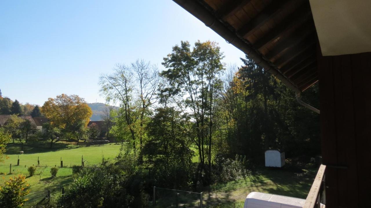 Fewo Mit Balkon Direkt Am Wald Und Wanderweg Ruhe Pur 2 Og Bad Sachsa Εξωτερικό φωτογραφία